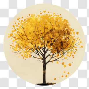 Yellow Maple Tree - Yellow Autumn Tree Illustration Transparent PNG