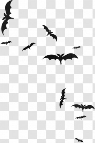 Microbat Photography Silhouette Clip Art - Information - L.A. Transparent PNG