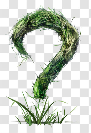 Question Mark - Grassy Question Mark With Natural Elements Transparent PNG