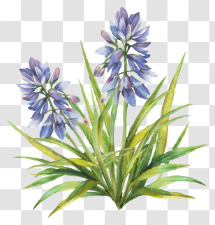 Blue Wildflowers - Purple Flowers In Garden Transparent PNG