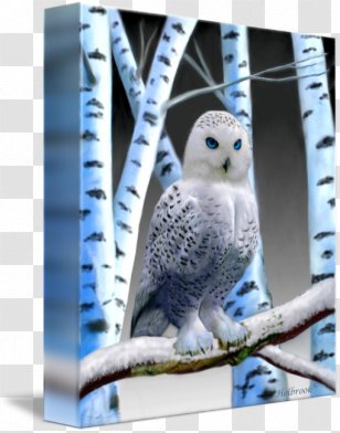 Owl Canvas Print Digital Art Transparent PNG