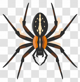Spider - Spider Illustration In Orange And Black Transparent PNG