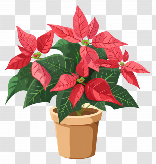 Poinsettia Flower - Festive Potted Poinsettia Plant Transparent PNG