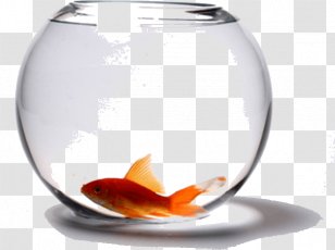 Glass Tableware Fish - Cellophane Transparent PNG