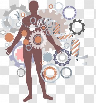 Human Body Homo Sapiens Anatomy - Watercolor - Tree Transparent PNG