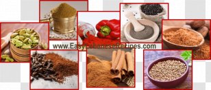 Spice Food Flavor Cuisine Recipe - Arab-food Transparent PNG