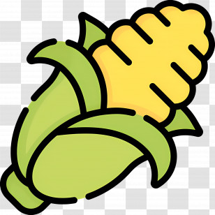 Maize - Corn On The Cob Transparent PNG