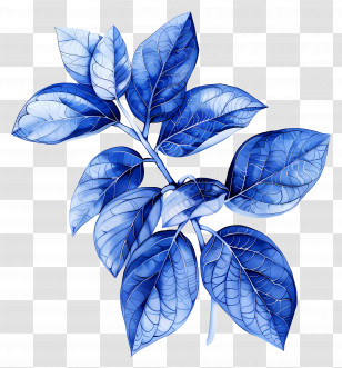 Blue Leaf - Blue Leaves Plant Illustration Transparent PNG