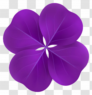 Purple Clover - Purple Flower With Four Petals Transparent PNG