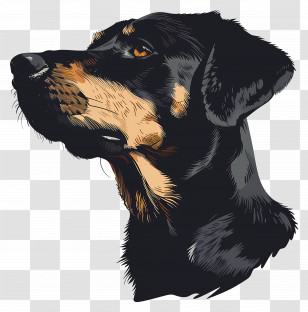 Dog - Illustration Of A Black-Furred Dog Head Transparent PNG