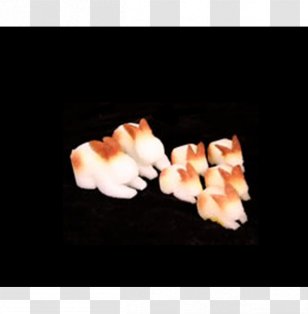 Rabbit Humour Fantasma Magic Comedy Laughter - Scott Wilson Transparent PNG