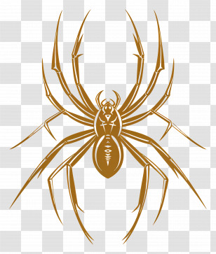 Simple Design - Brown Spider Illustration With Intricate Details Transparent PNG