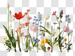 Spring Flowers - Beautiful Array Of Colorful Spring Flowers Transparent PNG
