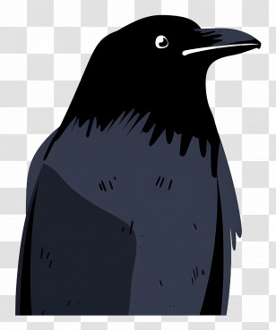 Raven - Black Crow Illustration Transparent PNG