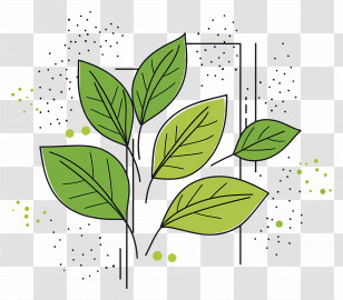 Spring Leaf - Illustration Of Green Leaves Transparent PNG