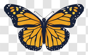 Monarch Butterfly - Monarch Butterfly Illustration In Orange And Black Transparent PNG