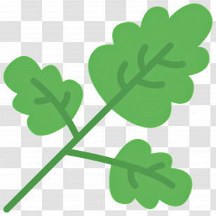Parsley - Green Leafy Herb Illustration Transparent PNG