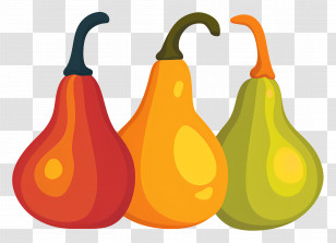 Gourds - Colorful Gourds In Autumn Hues Transparent PNG