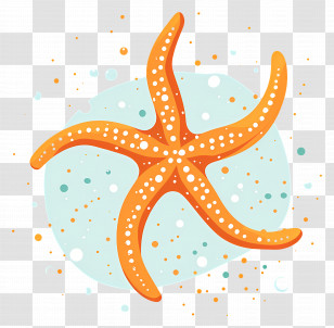 Starfish - Bright Orange Starfish Illustration For Ocean Theme Transparent PNG