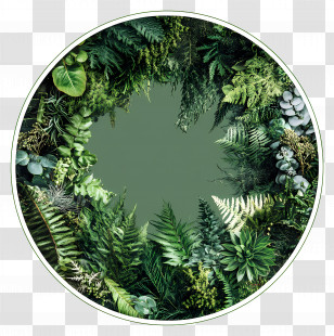 Green Circle Frame - Green Wreath Illustration Transparent PNG