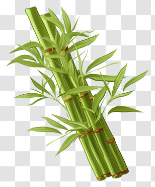 Flat Bamboo Stem - Bamboo Stalks With Leaves Illustration Transparent PNG