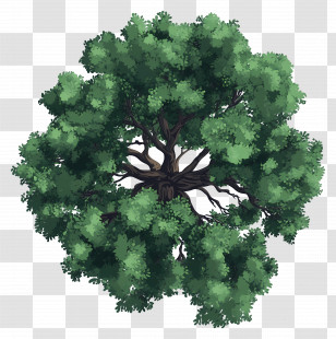 Tree Plan - Lush Tree With Green Leaves And Brown Trunk Transparent PNG
