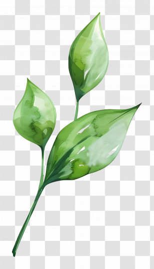 Green Leaf - Watercolor Green Leaves Design Transparent PNG