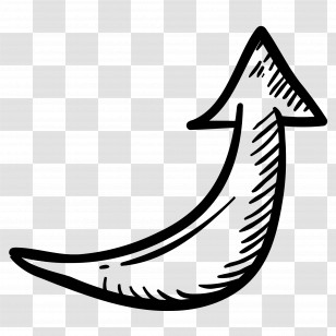 Sketch Arrow - Black Doodle Curved Arrow Illustration Transparent PNG