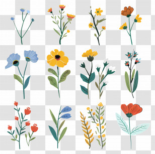 Wild Flower - Hand-Drawn Flower Set Illustration Transparent PNG