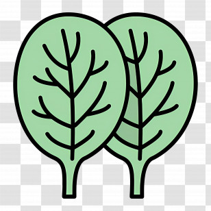 Spinach - Green Spinach Leaves Transparent PNG