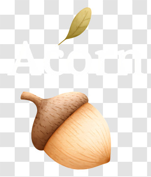 Acorn Logo - Acorn Logo With Leaf Transparent PNG