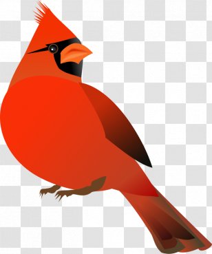 Northern Cardinal Free Content Website Clip Art - Red - Cartoon Parrot Transparent PNG