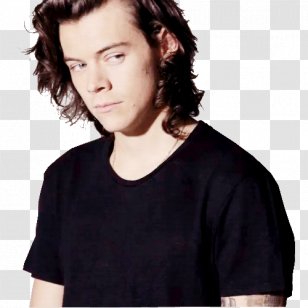 Harry Styles Live On Tour One Direction Desktop Wallpaper Frame