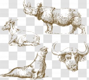 Sketchbook - Sheep - Horn Transparent PNG