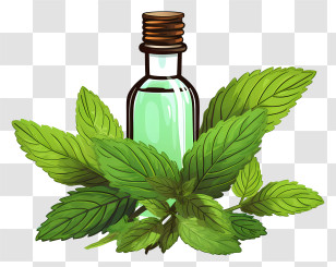 Essential Oil - Mint Leaves With Essential Oil Bottle Transparent PNG