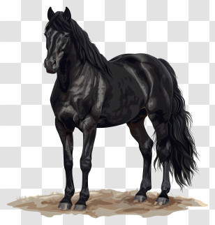 Black Horse - Majestic Black Horse Illustration Transparent PNG