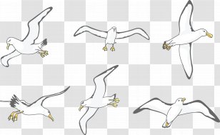 Game Wildlife Hunting - Watercolor - Wild Albatross Transparent PNG