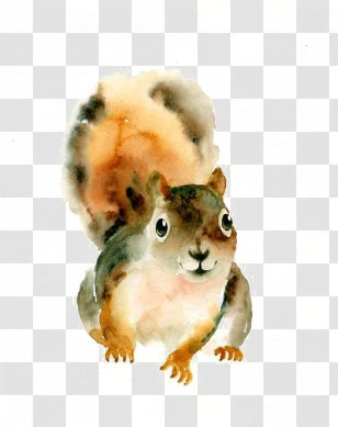 Squirrel Watercolor: Animals Watercolor Painting Art - Hamster Transparent PNG