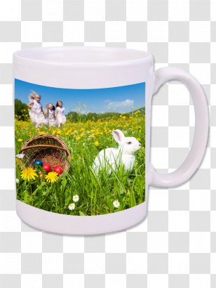 Easter Bunny Egg Hunt Child - Drinkware Transparent PNG