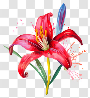Red Lily - Red Lily With Artistic Splashes Of Color Transparent PNG