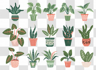Flowers In Pots - Collection Of Potted Houseplants Transparent PNG