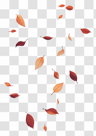 Autumn Leaves - Falling Autumn Leaves Seasonal Illustration Transparent PNG