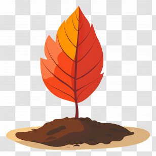 Autumn Leaf On Soil - Autumn Seedling Illustration Transparent PNG