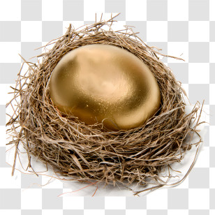 Egg - Golden Egg Resting In A Bird Nest Transparent PNG
