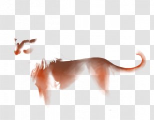 Cat Gray Wolf Desktop Wallpaper Leopard Tail Transparent PNG