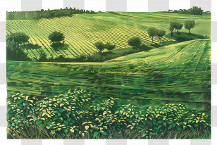 Pasture Field - Green Field Landscape Transparent PNG
