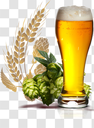 Beer - Beer Glass With Hops And Barley Design Transparent PNG
