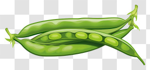 Freshly Picked Pea - Fresh Green Pea Pods Transparent PNG