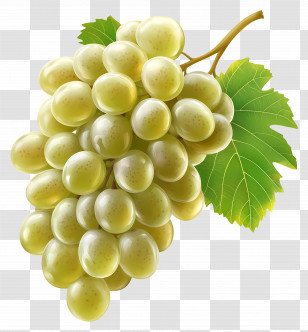 Green Grape - Fresh Green Grape Bunch Illustration Transparent PNG
