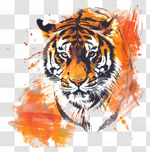 Tiger - Abstract Tiger Portrait With Brush Stroke Art Transparent PNG